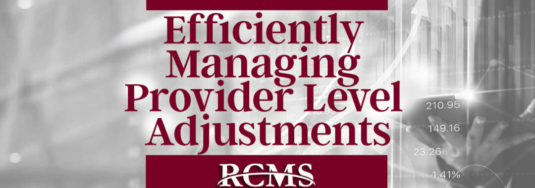 Provider Level PLB Adjustments