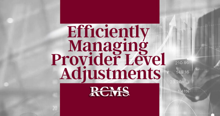 Provider Level PLB Adjustments
